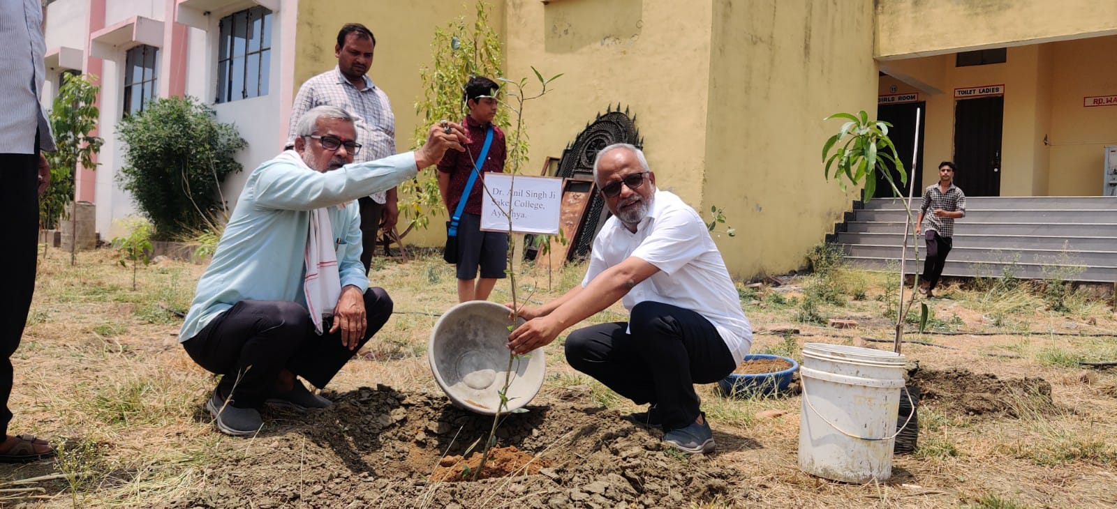 वृक्षारोपण गतिविधि